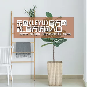 产品名称六(图1)