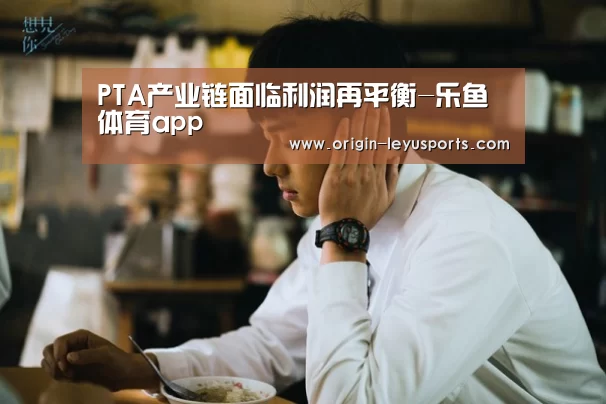PTA产业链面临利润再平衡-乐鱼体育app(图2) 乐鱼体育