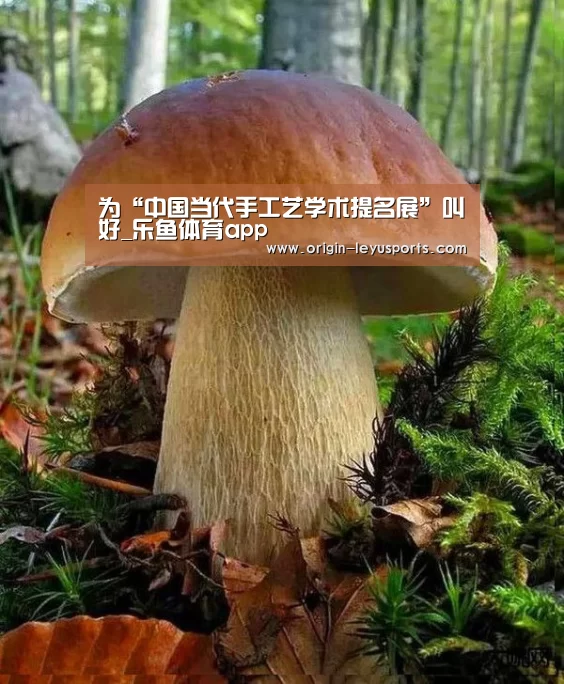 为“中国当代手工艺学术提名展”叫好_乐鱼体育app(图1) 乐鱼体育