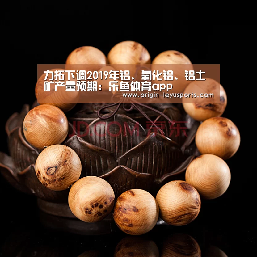 力拓下调2019年铝、氧化铝、铝土矿产量预期:乐鱼体育app(图3) 乐鱼体育